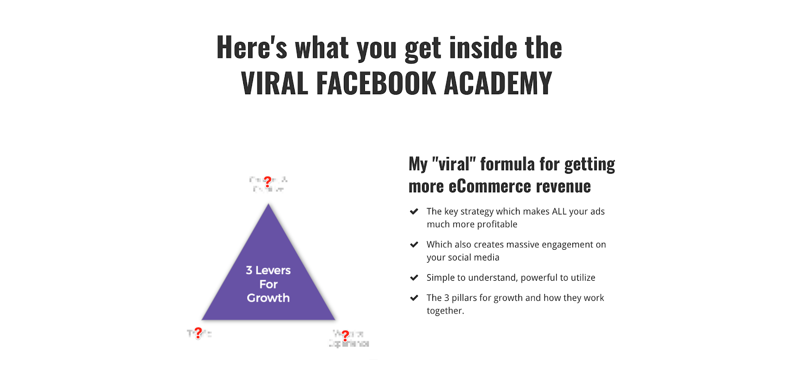 Viral Facebook Academy course